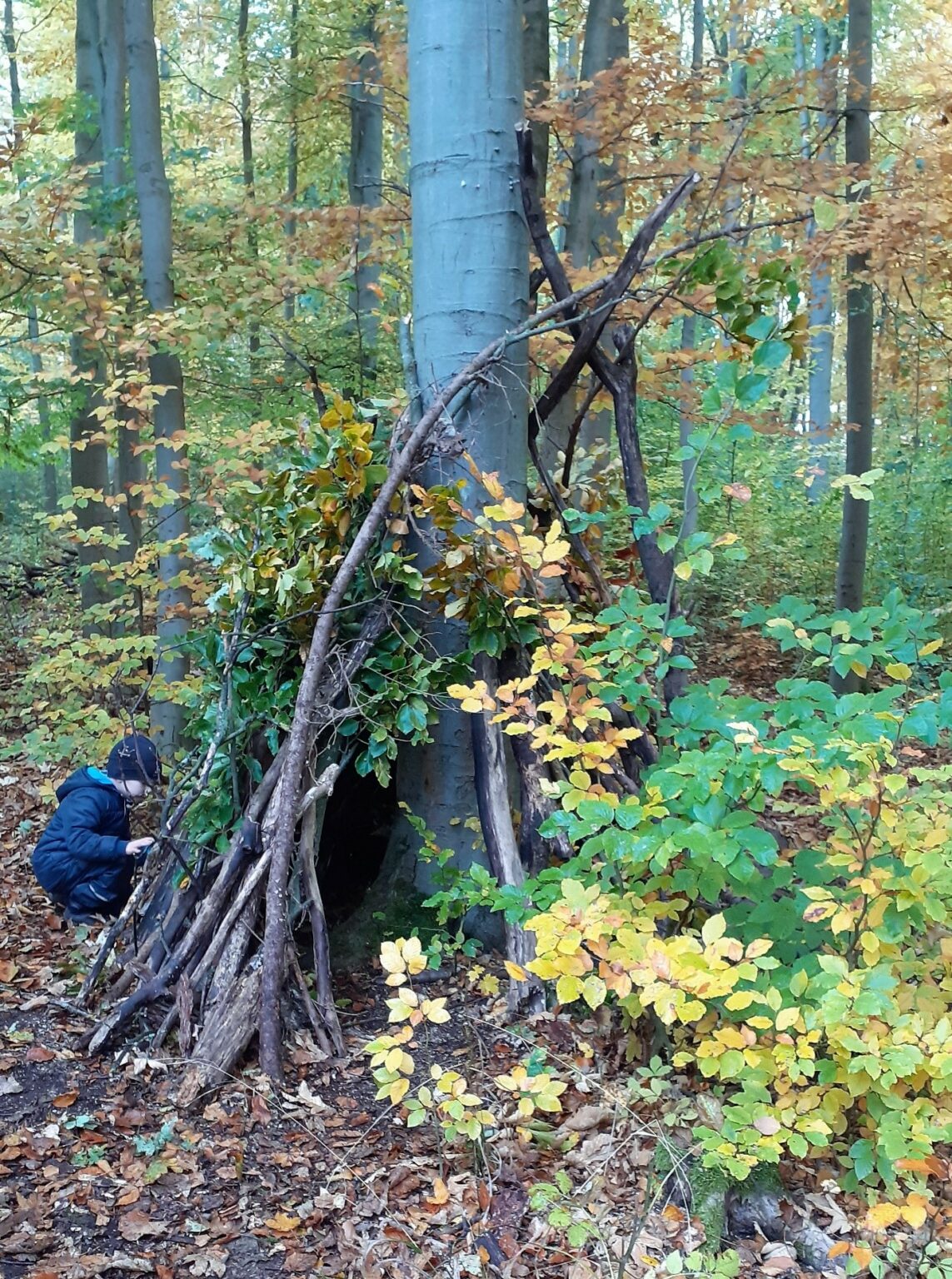 Webseite der AWO Kindergärten Eisenach